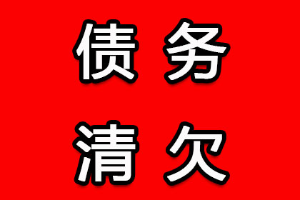 泰安借条担保相关法律咨询及担保人责任解析